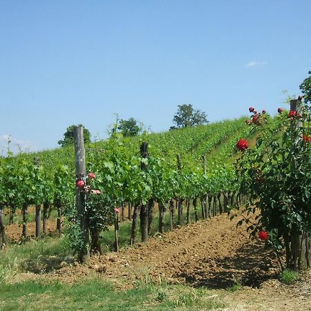 فيلا Borgo Del Molinello سانْتالبينو المظهر الخارجي الصورة